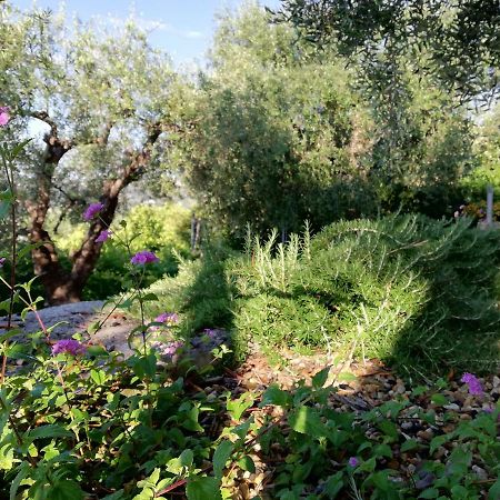 Sugli Allori Diano Marina Exteriör bild