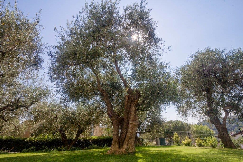 Sugli Allori Diano Marina Exteriör bild